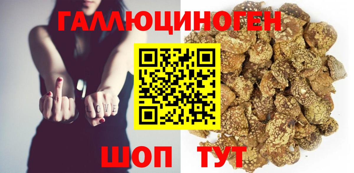 Касимов  Галлюциногенные грибы прущие грибы  Вход с VPN  где продают   Псилоцибиновые грибы MAGIC MUSHROOMS 