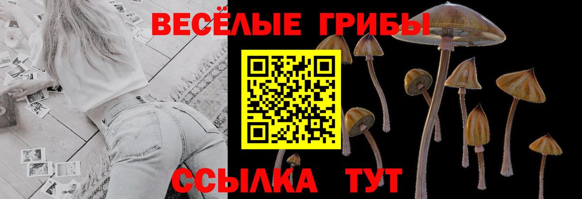 Галлюциногенные грибы мухоморы Касимов